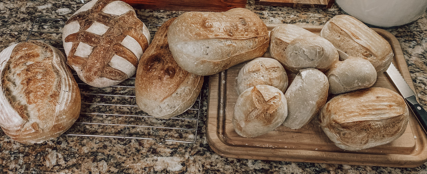 Onic Brands Bread Box: A Symphony of Loaves