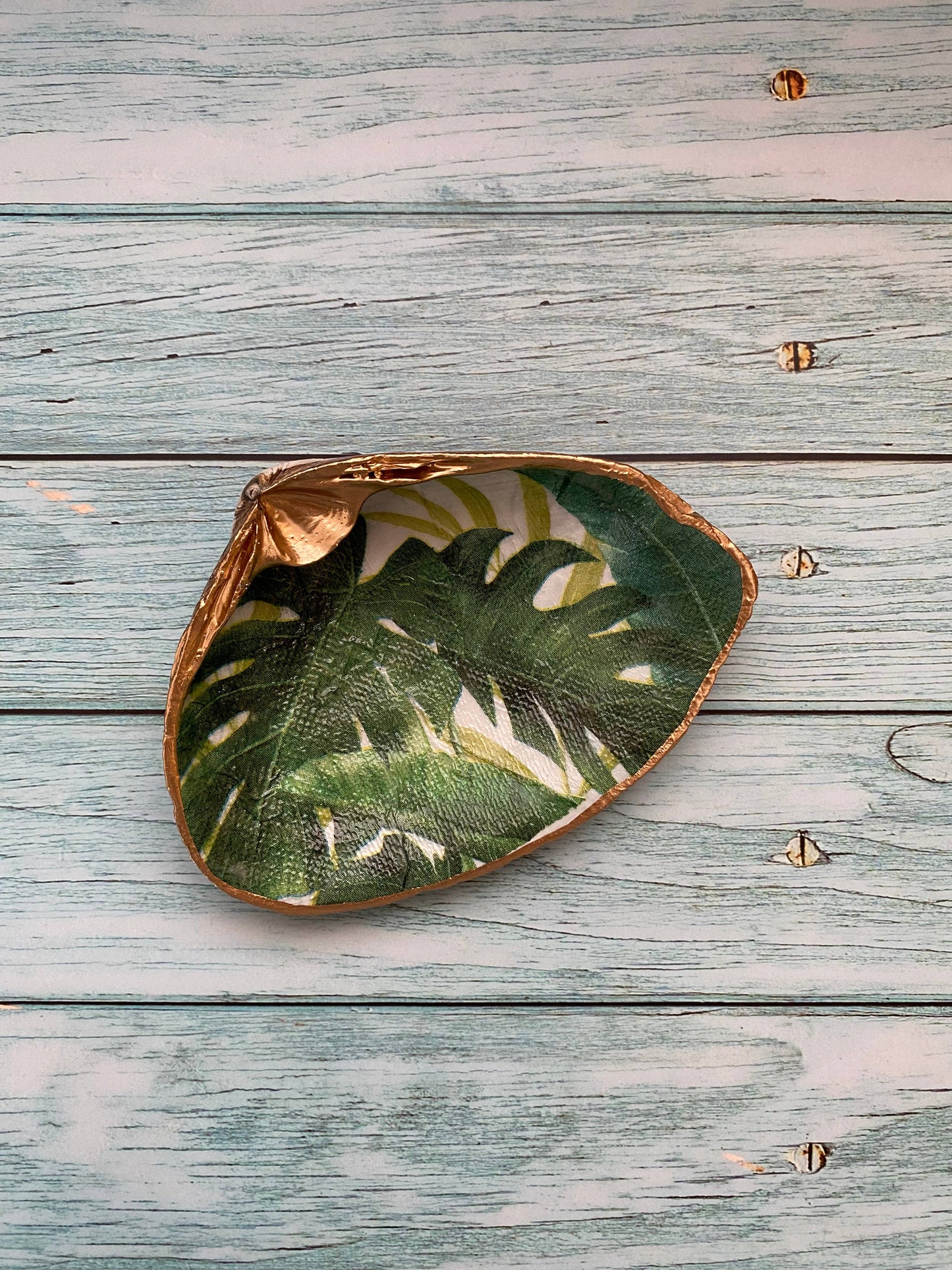 Palm Leaf Shell